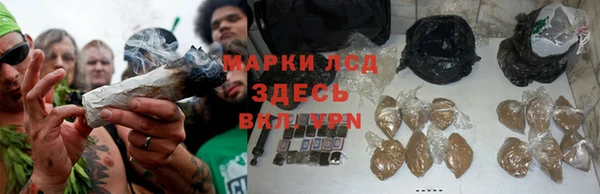 марки lsd Аркадак