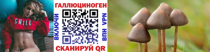 Псилоцибиновые грибы ЛСД  Терек 