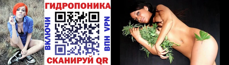 Конопля AK-47  OMG ТОР  Терек 